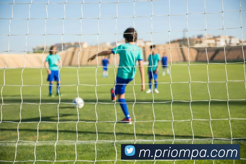 pa视讯平台生态图